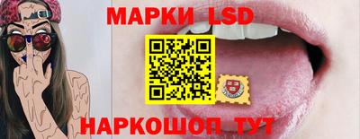 индика Обнинск