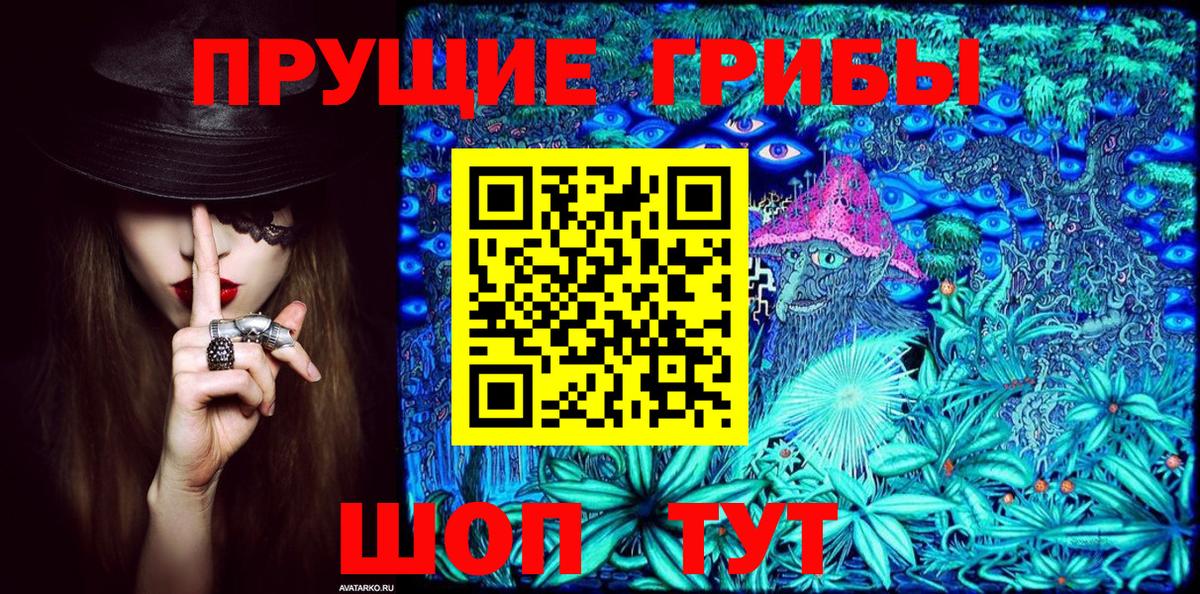 ГАШ Киселёвск
