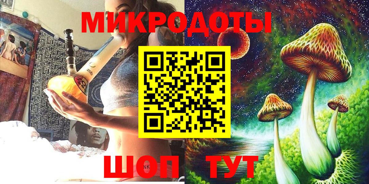 Киселёвск  Псилоцибиновые грибы Cubensis  Вход с VPN 